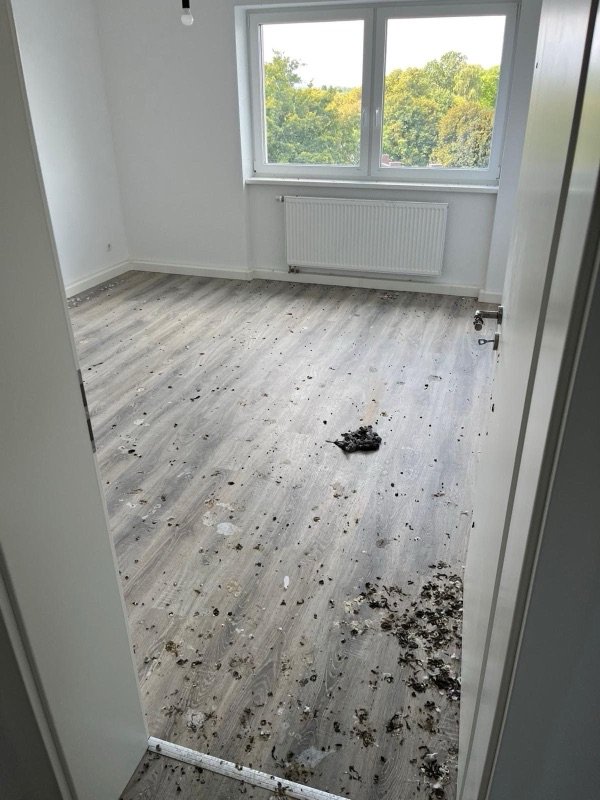 Wohnraum mit Schmutz und Rückständen auf dem Boden vor der Reinigung